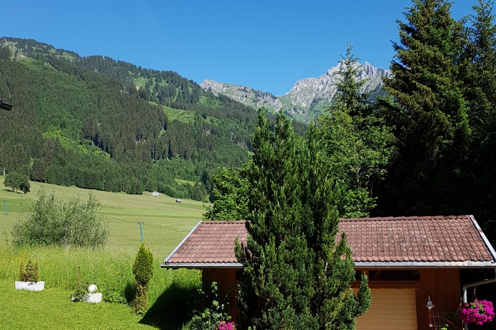 Ausblick von unserem Garten 