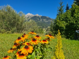 Ausblick Fewo 