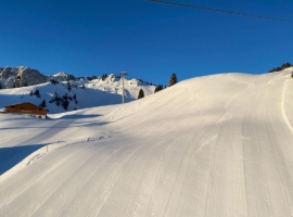 Bergwelt Hahnenkamm
