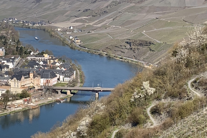 Blick auf Bernkastel-Kues