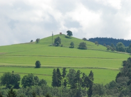 Ausblick zum Rodenbach Köppchen