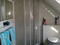 Dusche, WC, großer Einbauspiegel und Handtuchschrank - Dachfenster mit Roll-Laden.