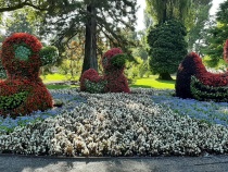 Foto 17