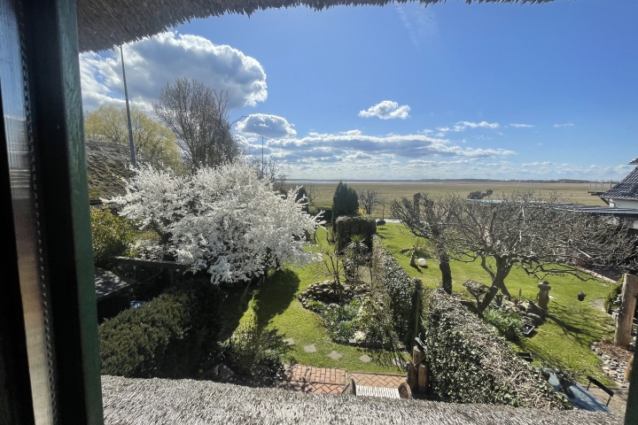 Blick aus dem Fenster .