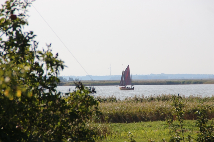Blick aus dem Gaubenfenster auf den Saalerbodden, hier sieht man ein Zeesboot und oft auch den Seeadler