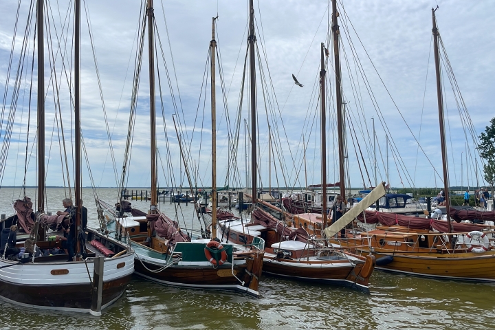Unsere Traditionssegler im Hafen, die auch Gäste mitnehmen 