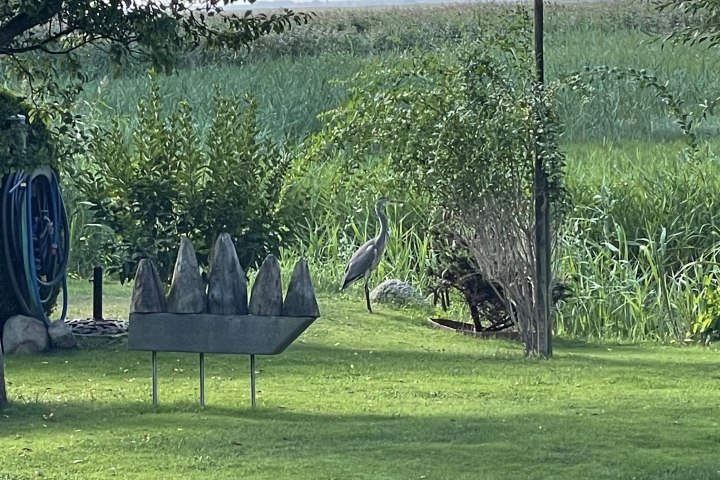 Besuch im Garten 