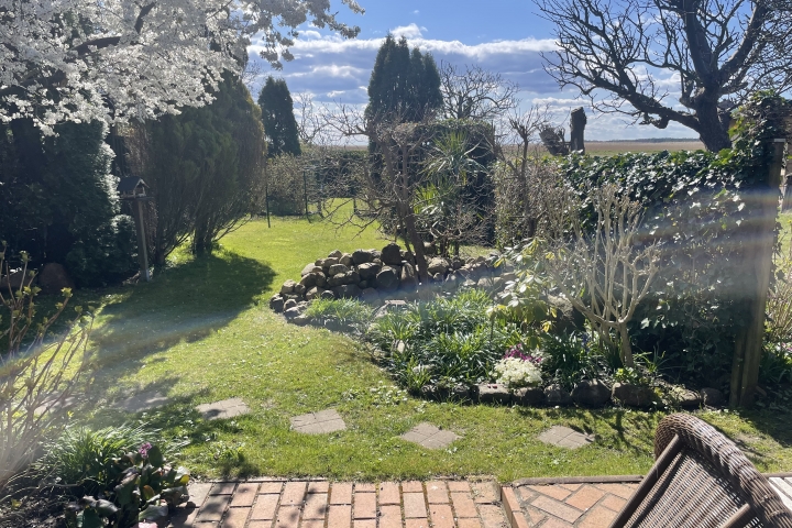 wenn der Garten im Frühjahr anfängt zu  blüht