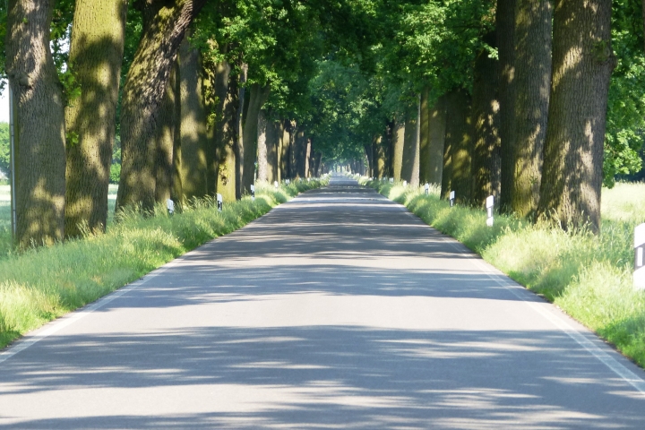 Endlos lange, flache Straßen durchziehen die Weite des Oderbruchs