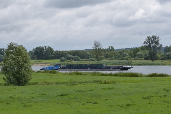 An der Oder - Blick gen Osten