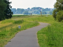 Foto 15