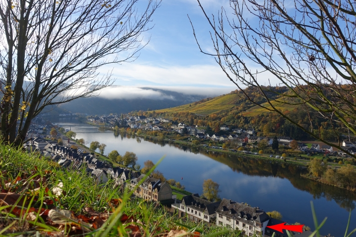 Blick aufs Ferienhaus Inselblick Zell Mosel
