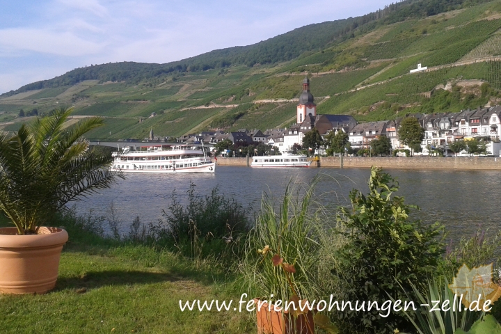 Blick auf die Altstadt Zell