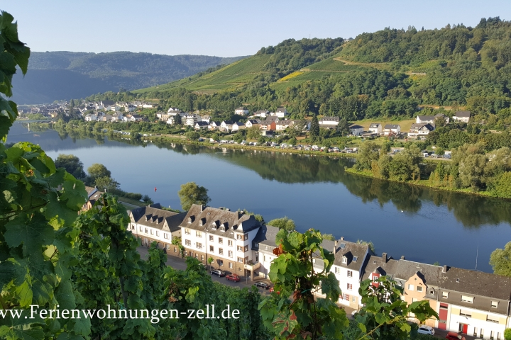 Ferienhaus Inselblick in traumhafter Mosellage ganz nah am Wasser