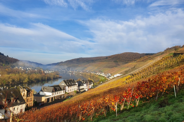 Lage Ferienhaus Inselblick
