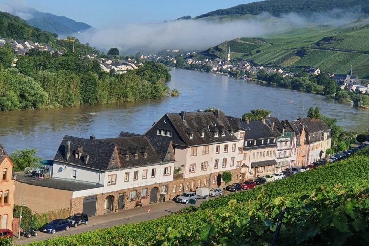 Direkt an der Mosel gelegen