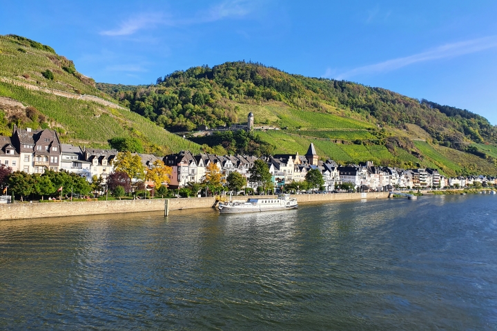 Panorama Zell Mosel