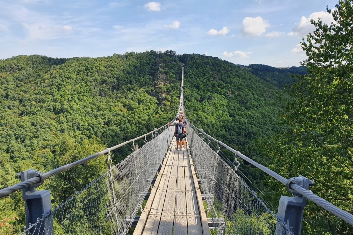 Hängeseilbrücke Geierlay