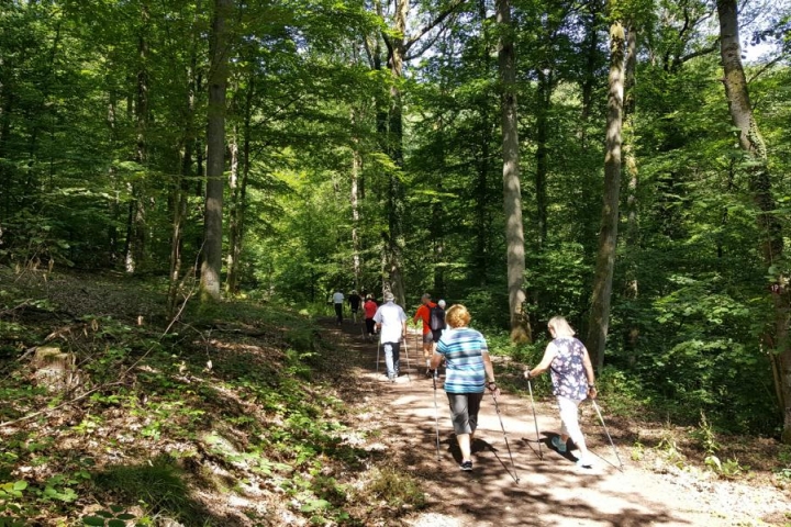 Nordic Walking