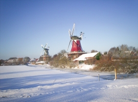 Foto 12