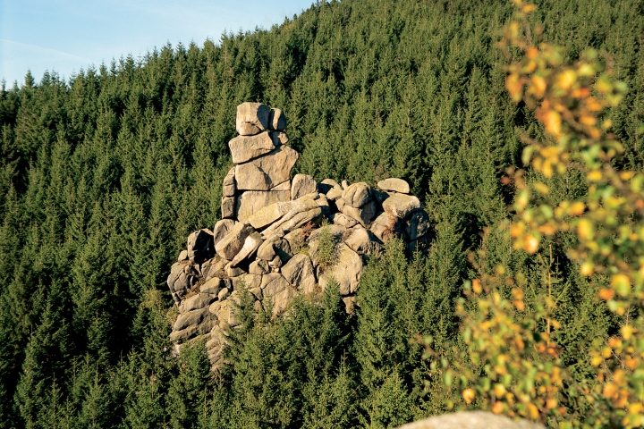 Hasselfelde
