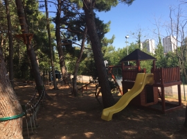 Foto 15