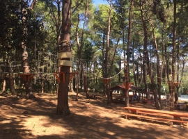 Foto 16