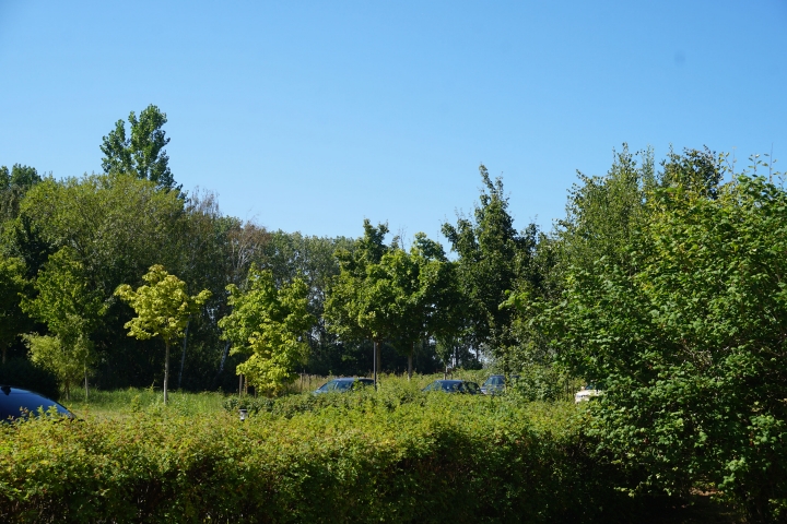 Aussicht