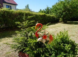 Foto 10