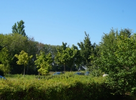Foto 12