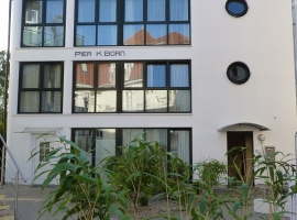 Foto 11