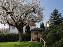 Foto 20