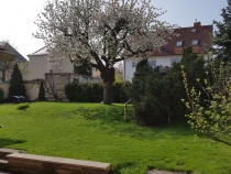 Foto 21