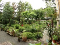 Foto 13