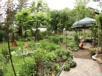 Foto 14
