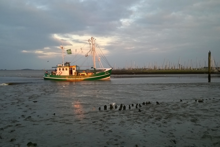 Einfahrt zum Hafen Dornumersiel