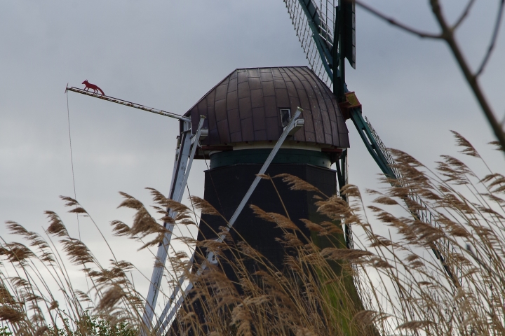 Windmühle von Westerbur