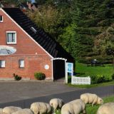 FeWos im Alten Fischerhaus - Direkt am Deich