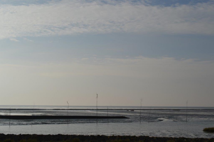 Blick auf´s Wattenmeer