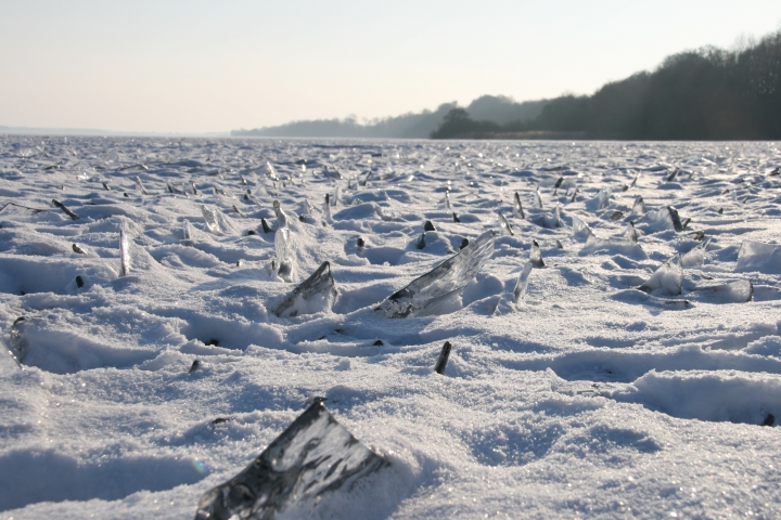 Müritz-Febr-2012