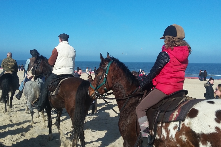 Strand