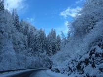 Foto 8