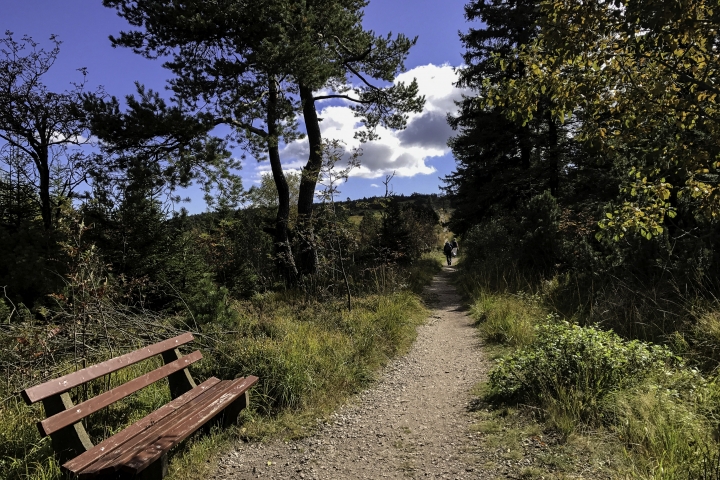 Hochmoorlandschaft an der Schwarzwaldhochstraße
