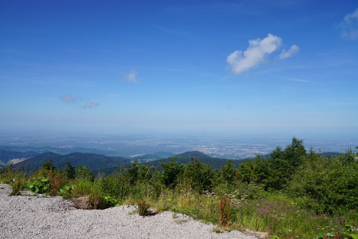 Blick von der Hornisgrinde (1.150m) - in 1,5h Wanderung vom Haus erreichbar
