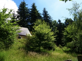 Foto 21