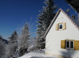 Foto 22