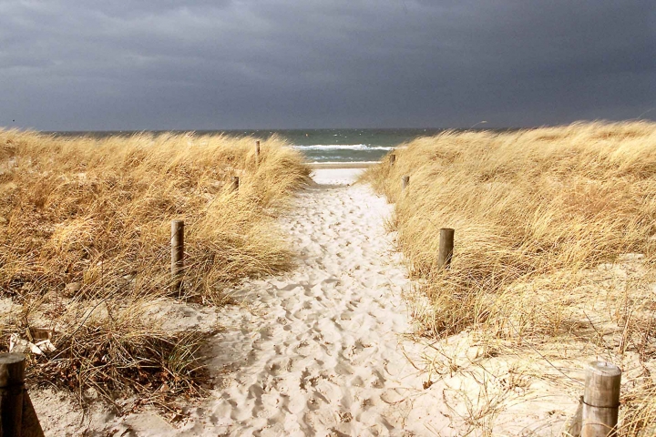 Strand/Dünenansicht