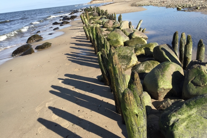 Strandimpressionen...