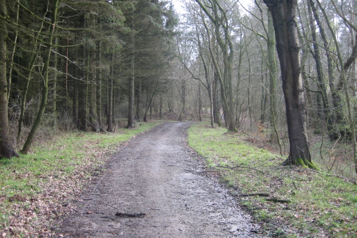 ... auf einer Wanderung durch den Stadtwald...