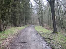 Foto 13